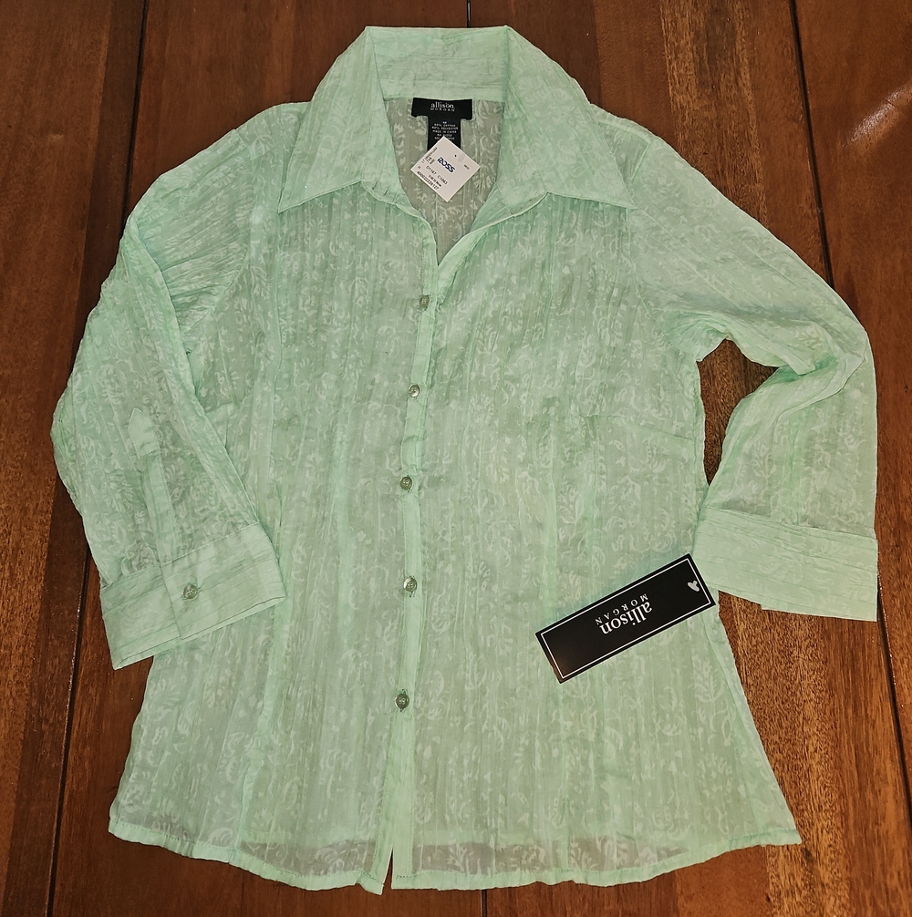 Allison Morgan Mint Green Sheer Button-Down Blouse